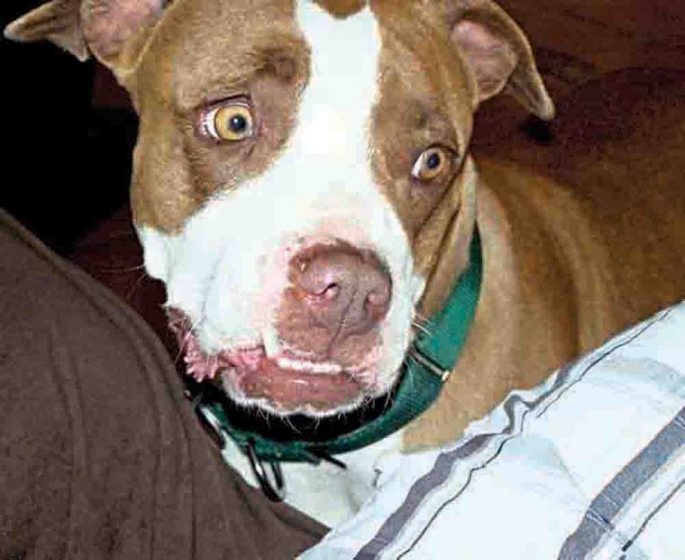 Someone to love: Tilly